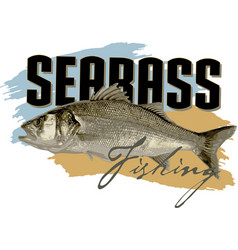 Seabass Fishing