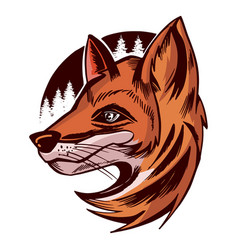 Fox Head Side View Colored