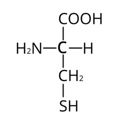 Amino acid cysteine chemical molecular Royalty Free Vector