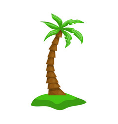 Realistic Tall Green Palm Tree Isolated On White