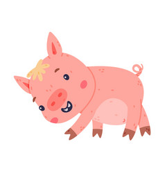 Funny Pink Piggy Character With Hoof Walking