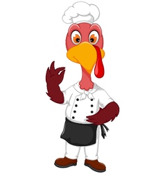 Funny Turkey Chef Cartoon Pointing