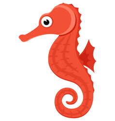 Red Seahorse On A White Background Isolated