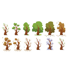 Tree Seasonal Changes Cycle Infographic Set Flat