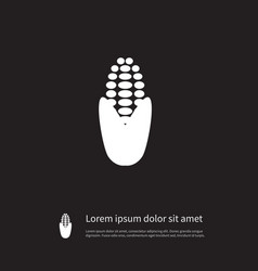 Isolated Maize Icon Corny Element Can B