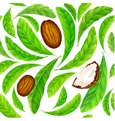 Shea Nuts With Leaves In Pattern