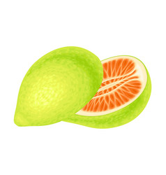 Pomelo Or Pummelo As Largest Citrus Fruit