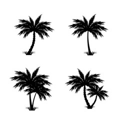 Tropical Palm Tree Silhouette Set