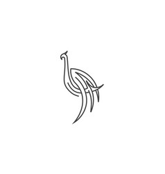 Peacock Logo Icon Template