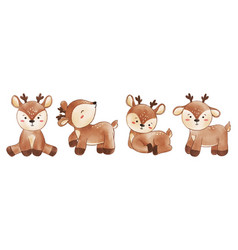 Deer Watercolor Painting Design Set Of Cute