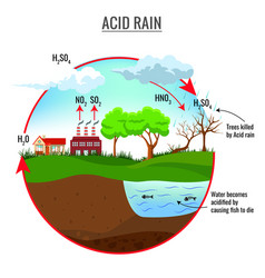 Acid Rain Cycle In Nature