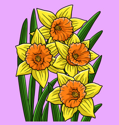 Daffodil Flower Colored Cartoon