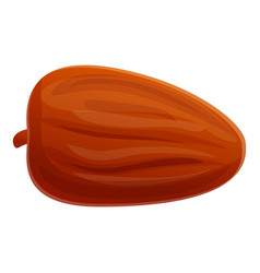 Jojoba Brown Seed Icon Cartoon Style