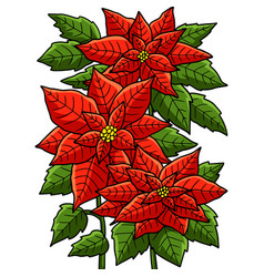 Poinsettia Flower Cartoon Colored Clipart