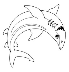 Spinner Shark Isolated Coloring Page For Kids