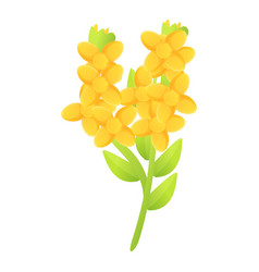 Jojoba Flower Icon Cartoon Style