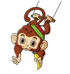 Cute Monkey Swinging And Holding Banana