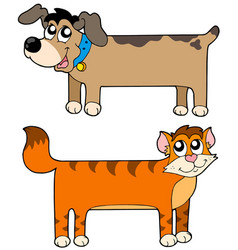 Flat Cat And Dog