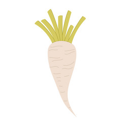 Sugar Beet Cartoon Isolated