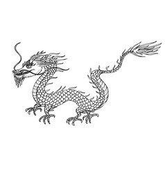 Dragon Hand Drawn