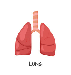 Lung Of Human Cartoon Design Isolated