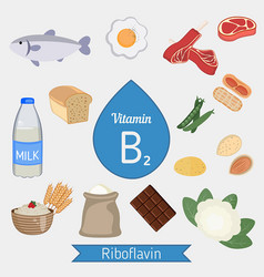 Vitamin B2 Or Riboflavin Infographic B2