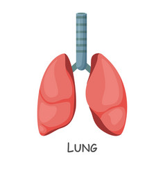 Lung Of Human Cartoon Design Isolated