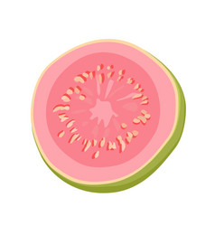 Pink Thin Slice Of Guava Isolated Sliced Fruit