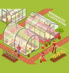 Colored Greenhouse Composition