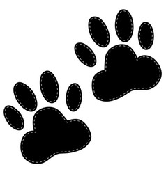 Dog Paws Following On A White Background