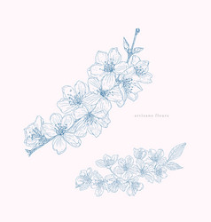 Sakura Flower Tree Branches Floral Clipart