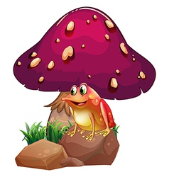 A Frog Below The Giant Mushroom