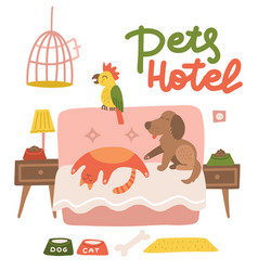 Happy Dog Cat And Parrot Relax On A Hotel Bed