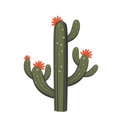 Cactus Plant Cacti Clip Art