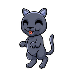 Cute British Shorthair Cat Cartoon