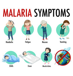 Malaria Symptom Information Infographic Royalty Free Vector