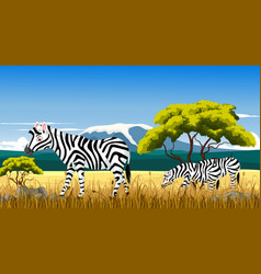 Zebra With Landscape Background