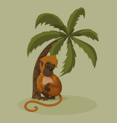 Monkey Napping Under A Palm Tree