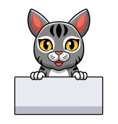 Cute Manx Cat Cartoon Holding Blank Sign