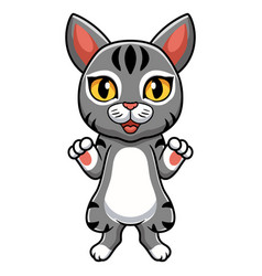 Cute Manx Cat Cartoon Standing