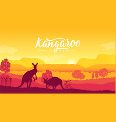 Australia Kangaroo On Landscape Nature Background