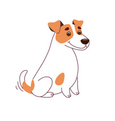 Jack Russell Terrier Dog