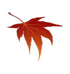 Maple Autumn Leaf