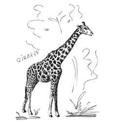 Hand Drawn Giraffe