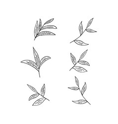 Tea Leaves Set Hand Drawn In Doodle Style