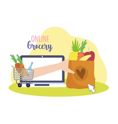 Online Grocery Laptop