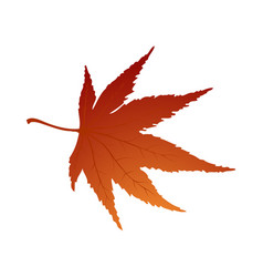 Maple Autumn Leaf