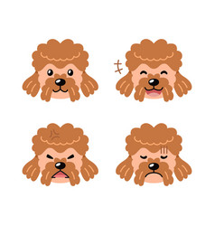 Set Of Character Brown Poodle Dog Faces Showing