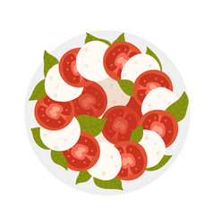 Mozzarella And Tomato Salad