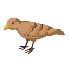 City Sparrow Icon Isometric Bird Small